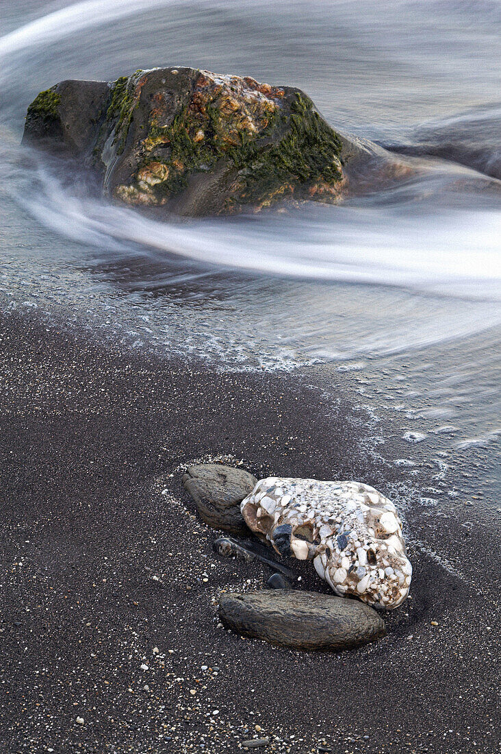 Detail, Costa del Sol. Andalusia, Spain