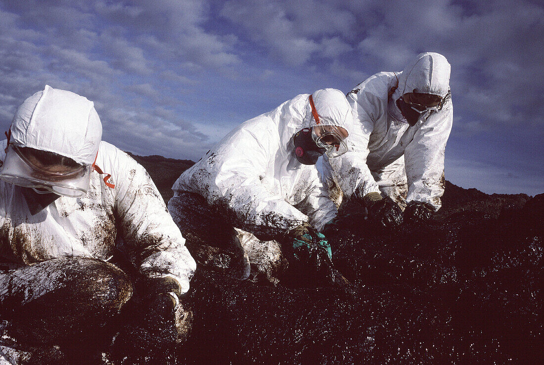 Volunteers dressed with protective clothing cleaning up the oil spill ( chapapote ) from Prestige tanker. Dec. 2002. Galicia. Spain