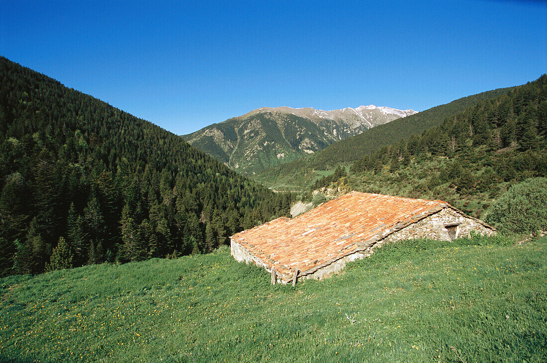 Mountain cabin. Ripollès. Catalonia, Spain