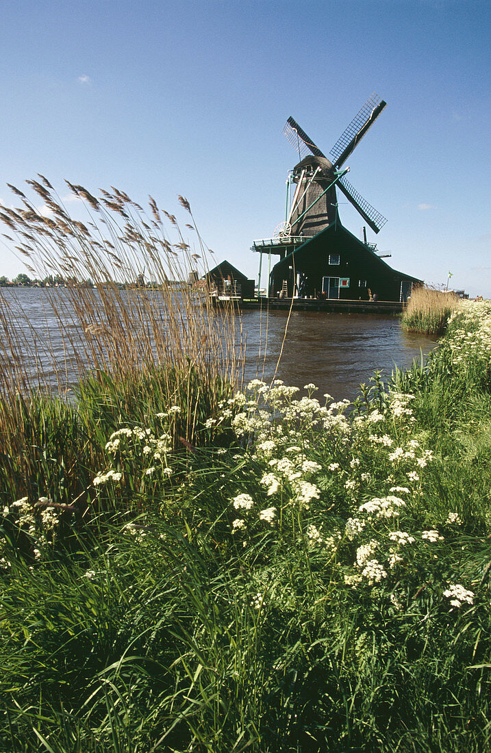 Windmill, Zaanse Schans. Holland