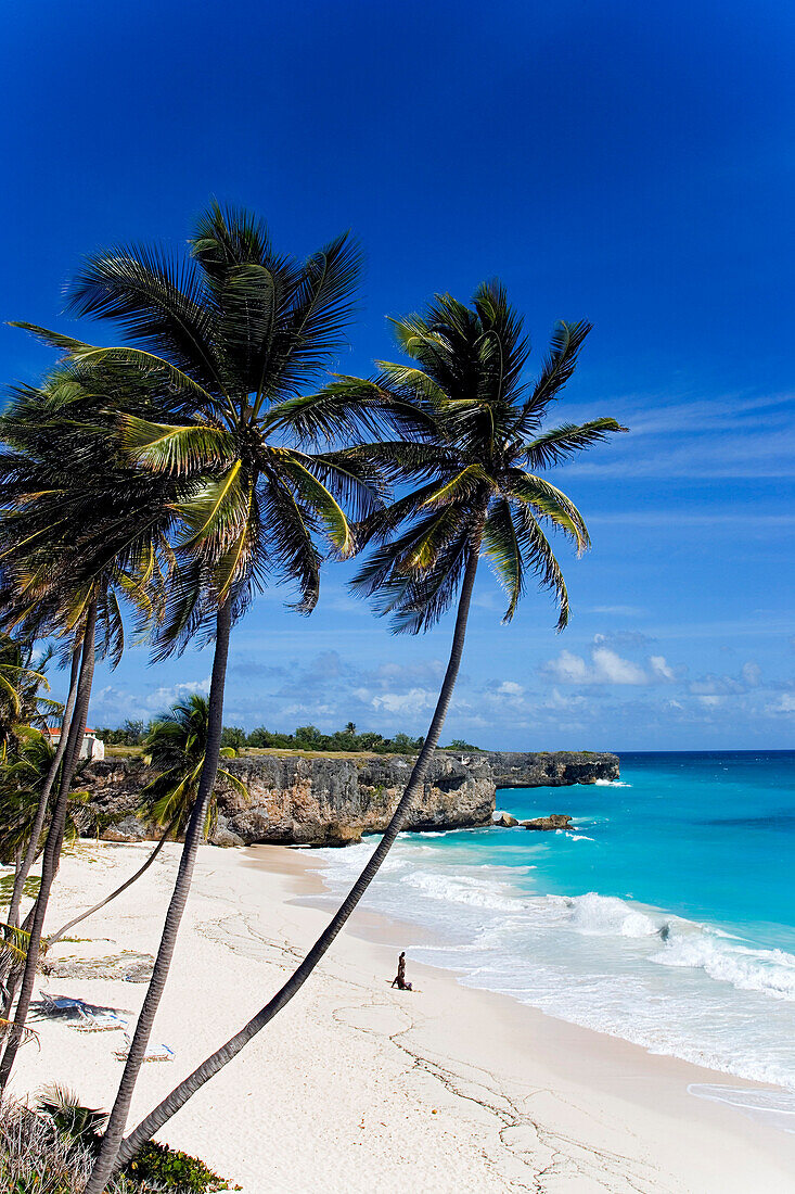 View over sandy beach of Bottom Bay, St. Philip, Barbados, Caribbean