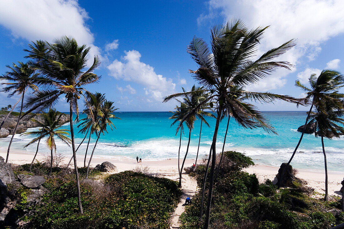 View over Harrismith Beach, St. Philip, Barbados, Caribbean