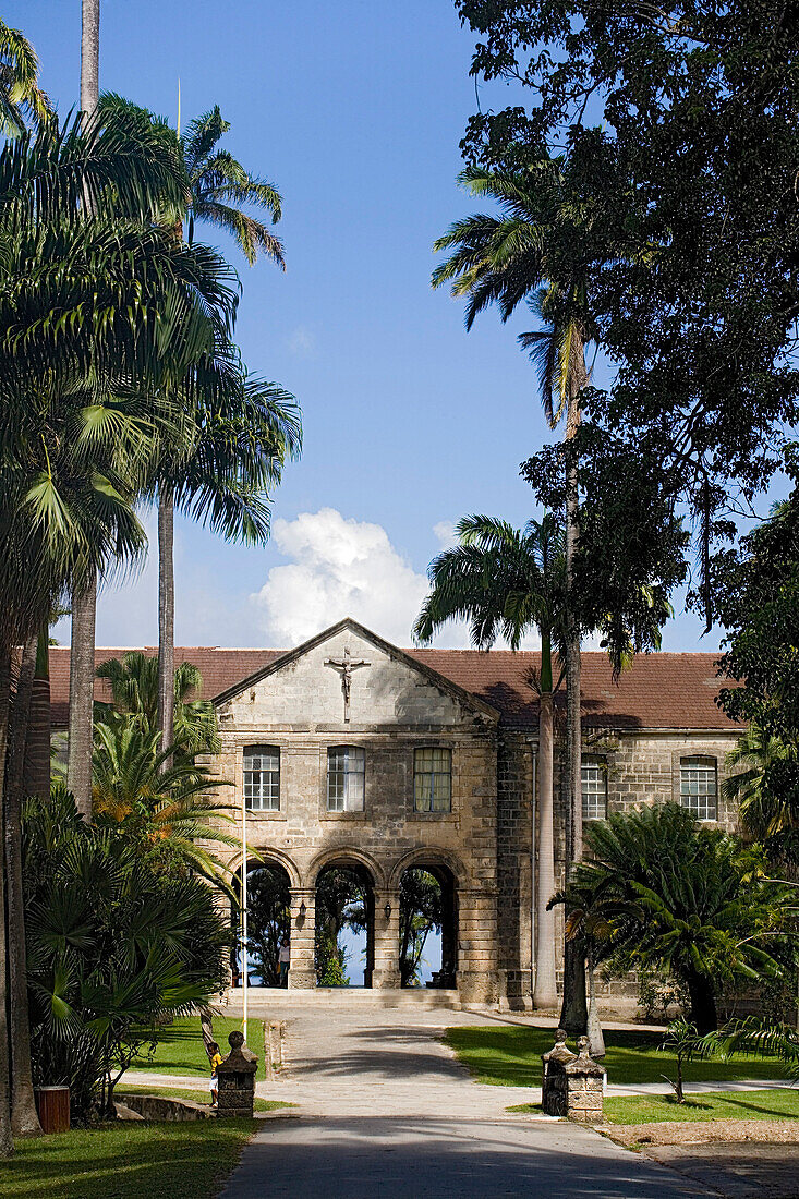 Avenue to Codrington College, Barbados, Caribbean
