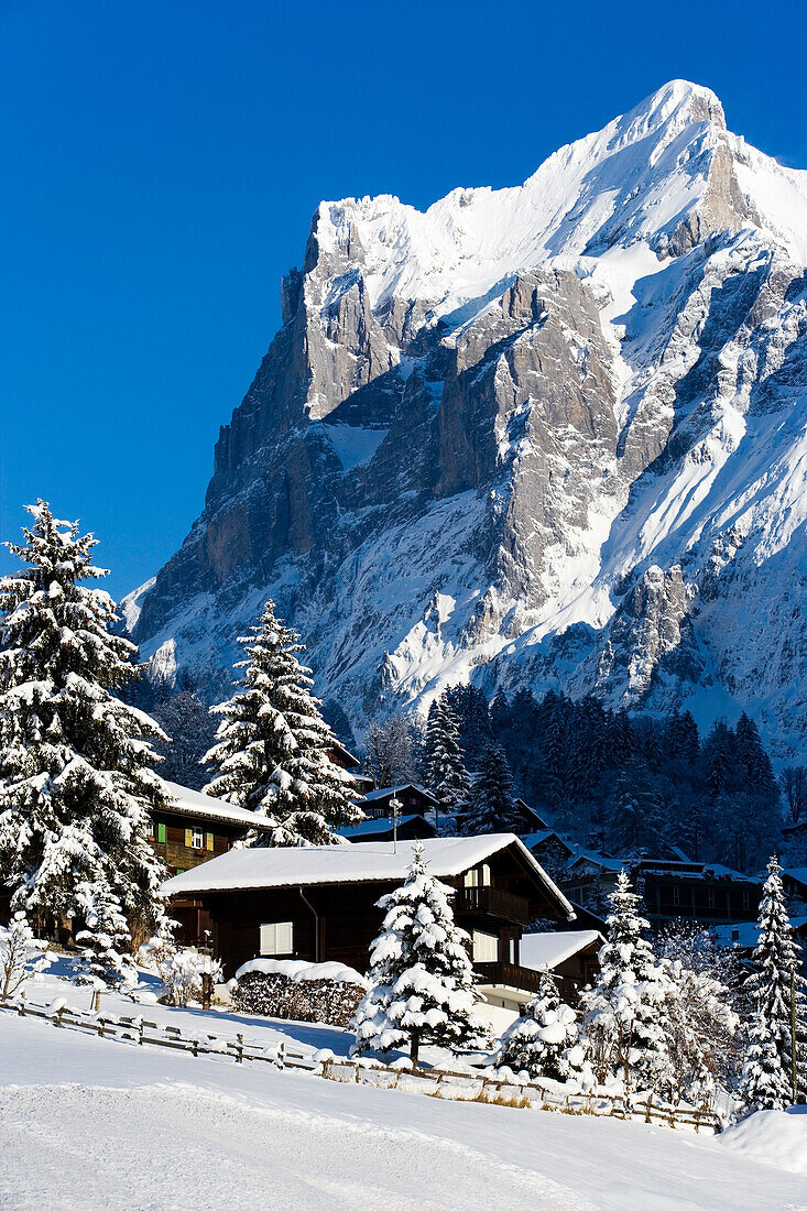 Alpine huts in front of mountain Wetterhorn, Grindelwald, Bernese Oberland, Canton of Bern, Switzerland