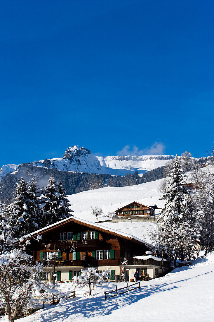 Schneebedeckte Almhütte, Grindelwald, Berner Oberland, Kanton Bern, Schweiz
