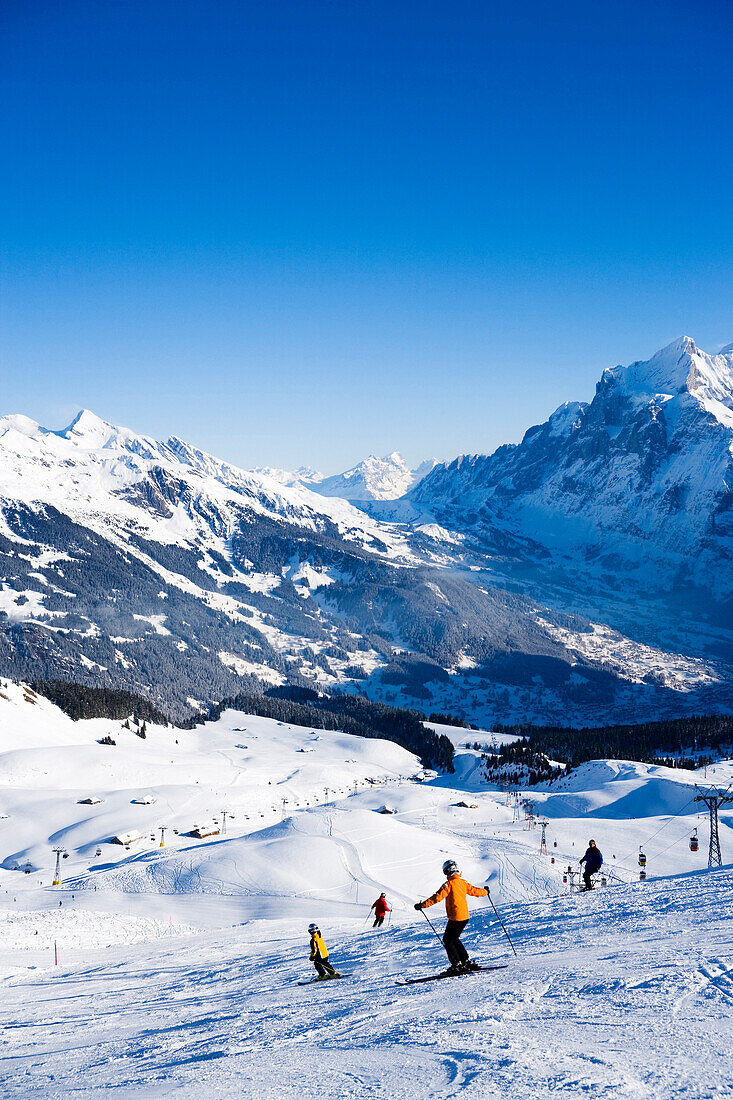 Skifahrer auf der Piste, Männlichen, Grindelwald, Berner Oberland, Kanton Bern, Schweiz