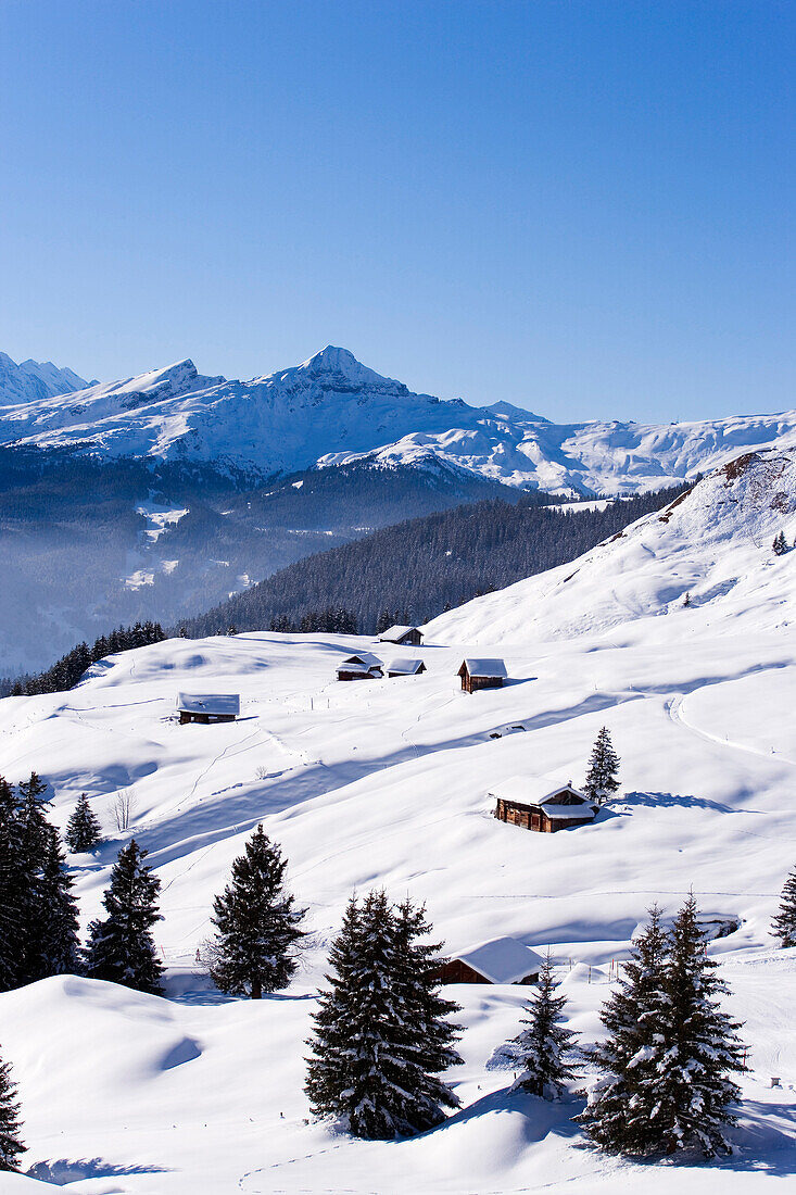 View over winter scenery with snow covered alpine huts, First, Grindelwald, Bernese Oberland, Canton of Bern, Switzerland