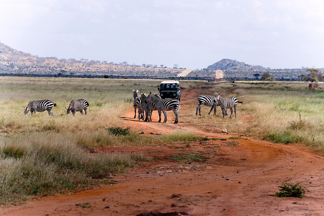 Safari jeep on the way in Tsavo East National Park, Coast, Kenya