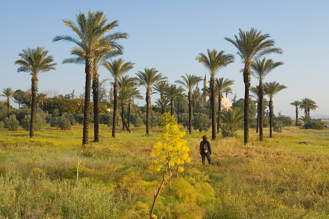 Woman hiking between palm trees, Hala Sultan Tekke mosque at Larnaka Salt Lake, Larnaka, South Cyprus, Cyprus