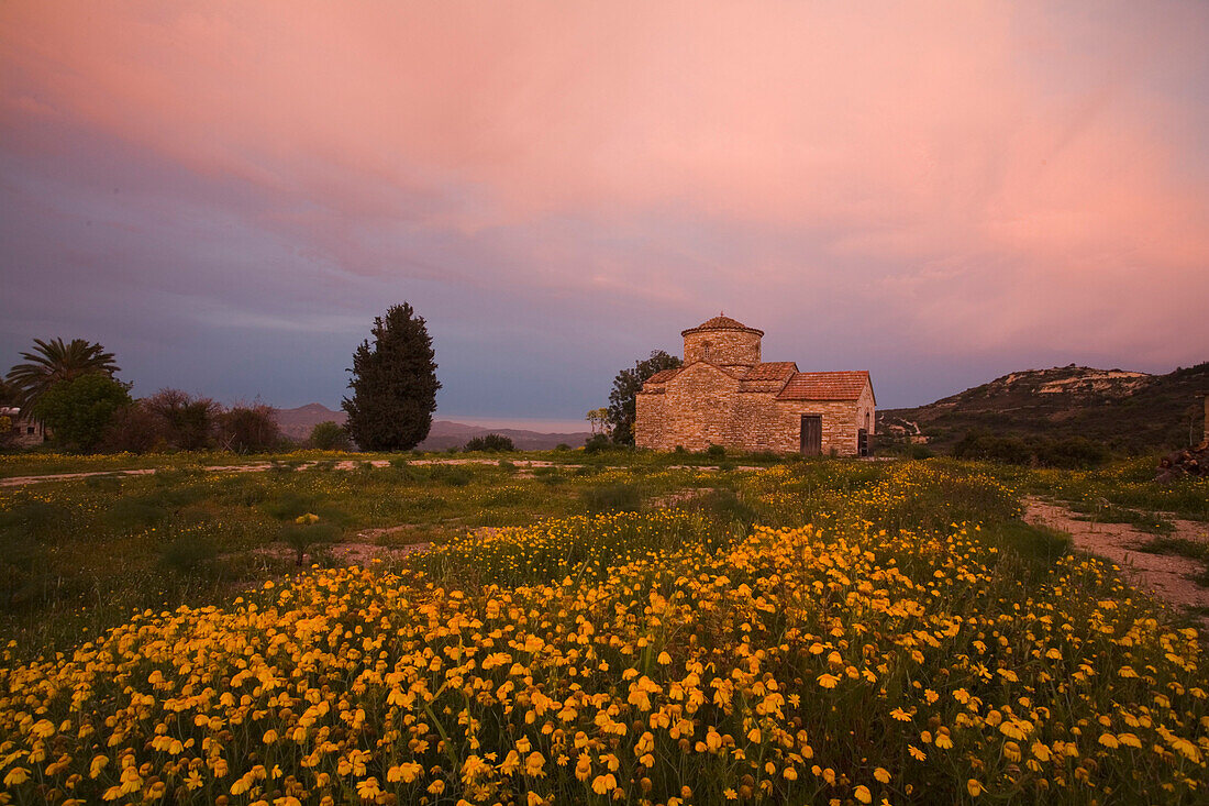 Church in a flower meadow, Kato Lefkara, Lefkara, South Cyprus, Cyprus