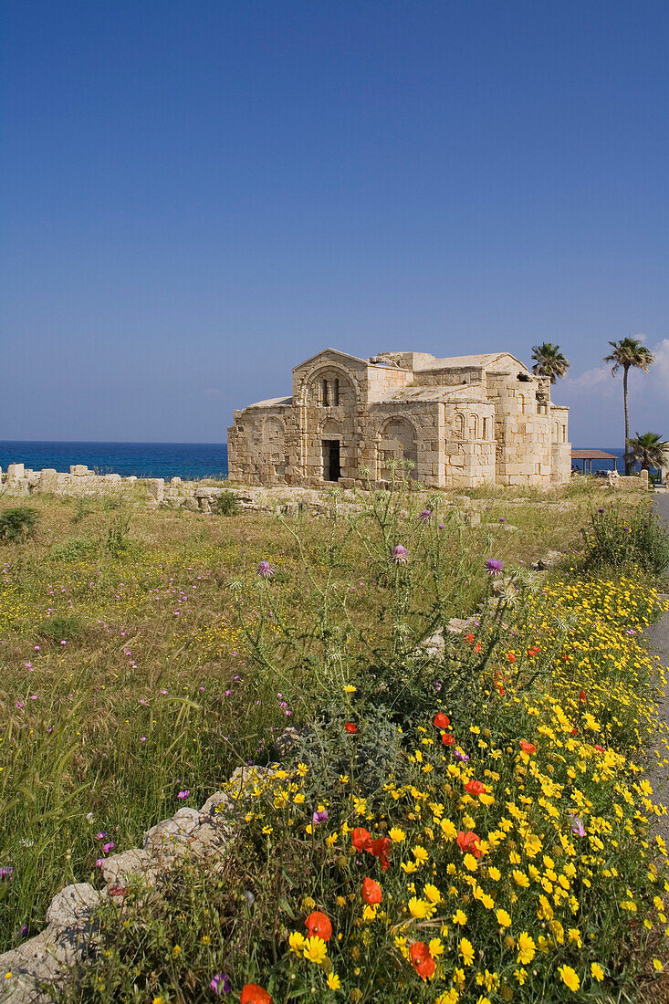 Agios Filon, church ruins with palm tree, Dikarpaz, Rizokarpaso, Karpasia, Karpass Peninsula, North Cyprus, Cyprus