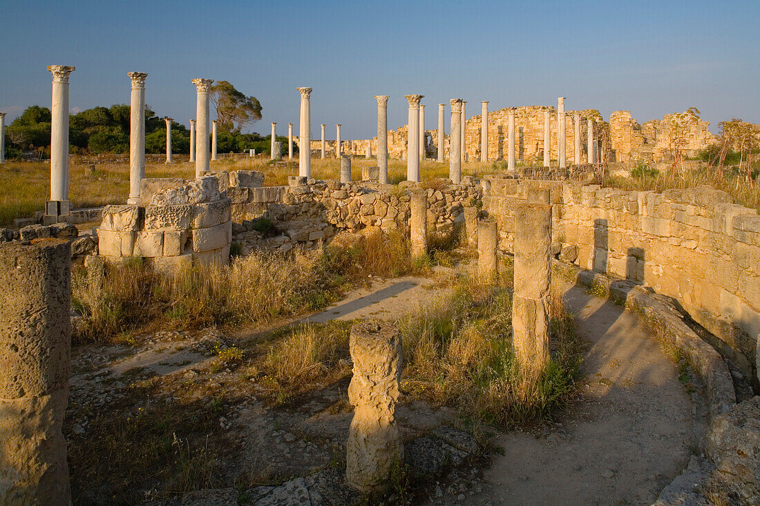 Antike Gymnasium, Palästra mit Säulen, Ruinen, Archaeologie, Antike Stadt von Salamis, Nordzypern, Zypern