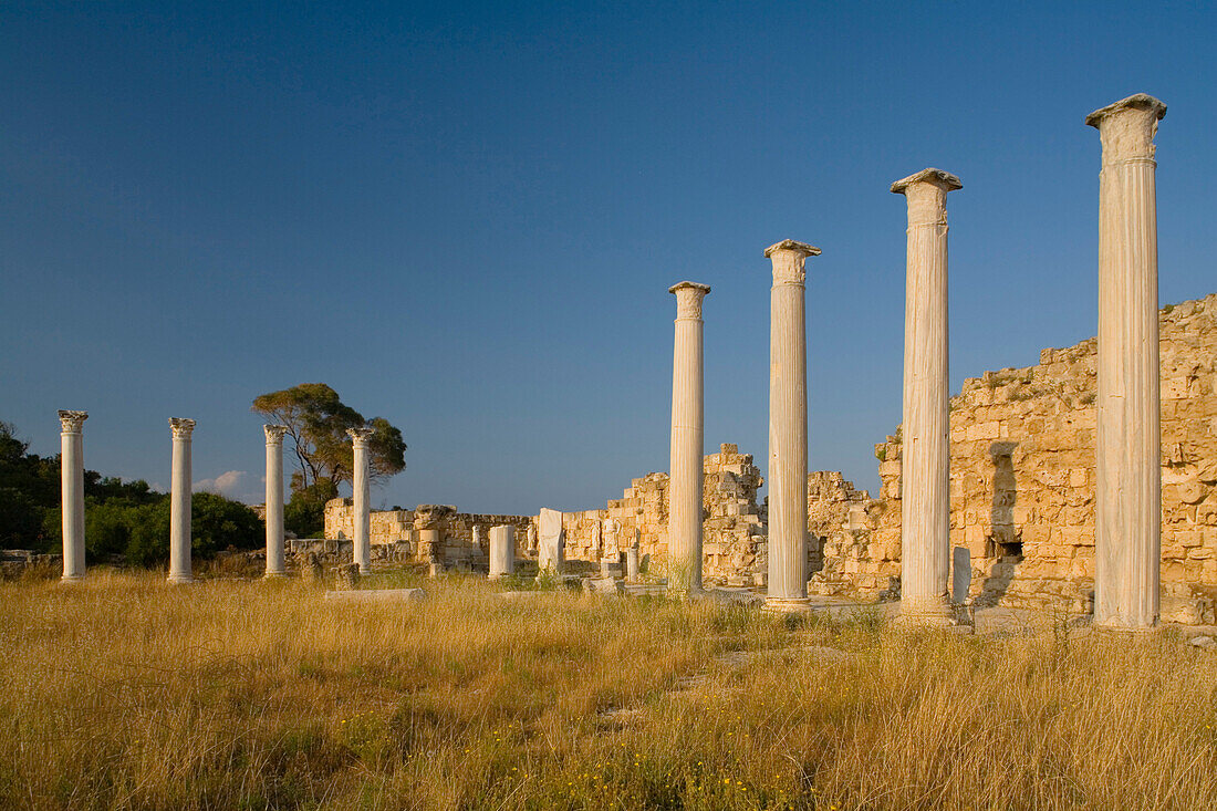Antike Säulen Gymnasium, Palästra, Ruine, Archaeologie, Antike Stadt von Salamis, Salamis, Nordzypern, Zypern