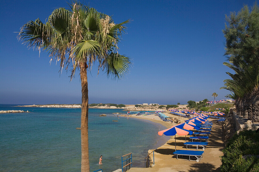 Corallina beach with palm trees, Coral Bay, Paphos area, South Cyprus, Cyprus