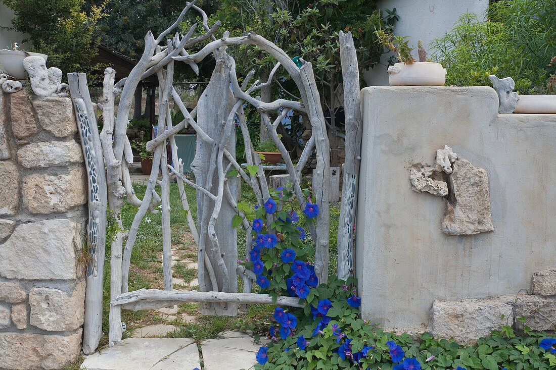 Tor mit Windengewächse, Ipomoea violoacea, Lempa, in der Nähe von Pafos, Südzypern, Zypern