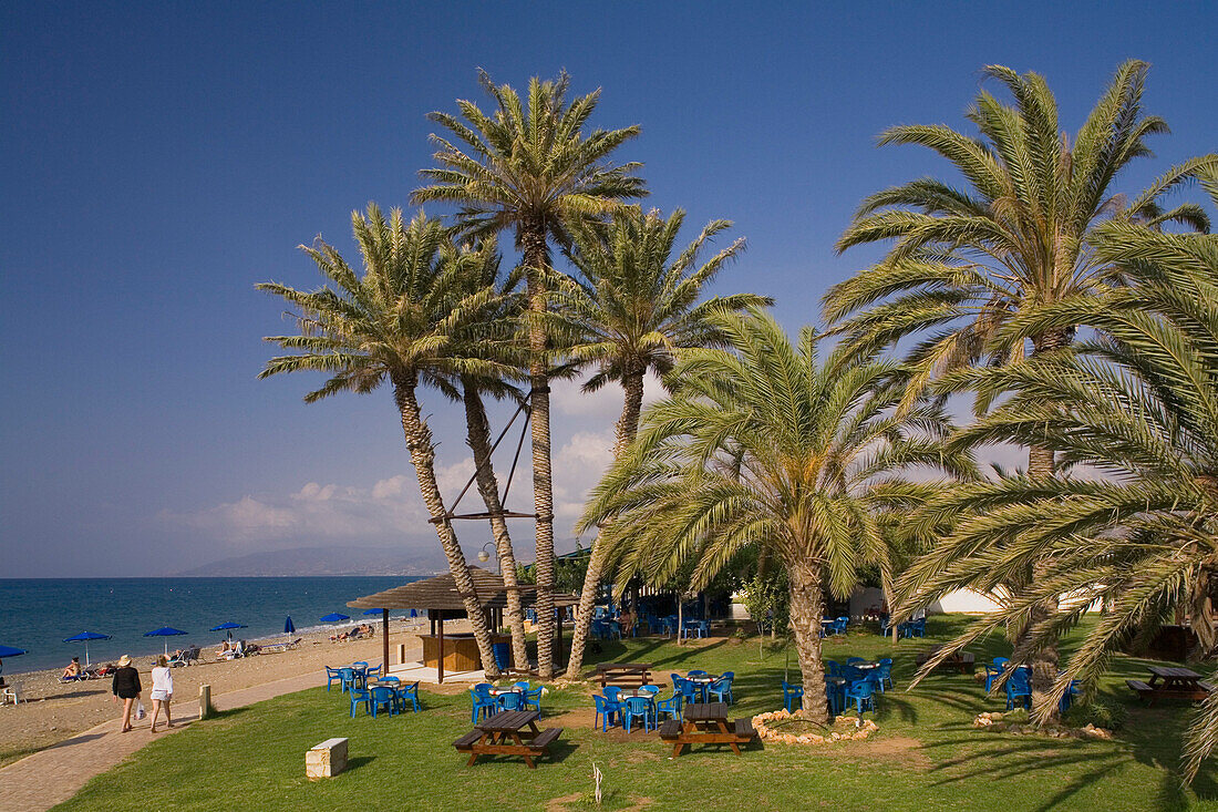 Beach with palm trees, Latsi, near Polis, Cyprus