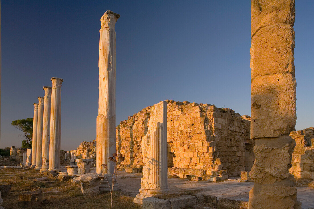 Antike Säulen Gymnasium, Palaestra, Ruine, Antike Stadt von Salamis, Salamis, Nordzypern, Zypern