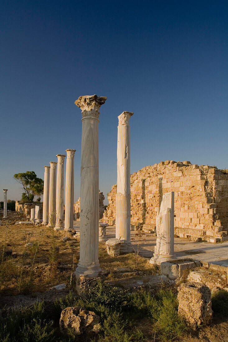 Gymnasium with its columned Palaestra, Ancient city of Salamis, courtyard, Salamis ruins, Salamis, Cyprus
