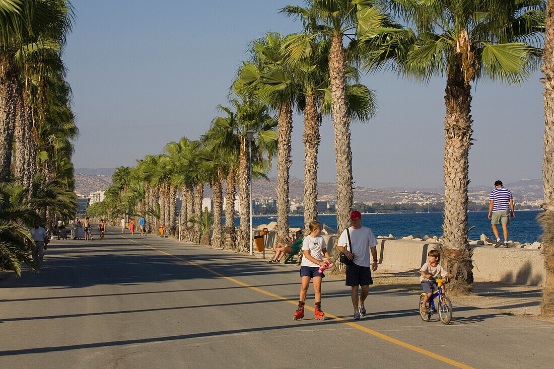 Sea Front Promenade lined with palm trees, Lemesos, Limassol, South Cyprus, Cyprus