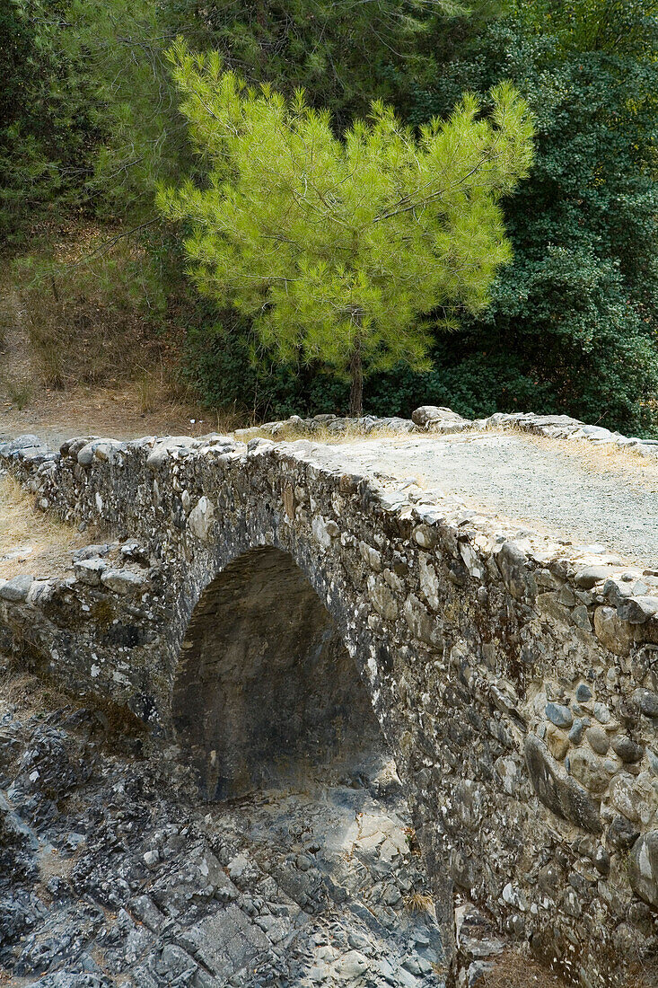Stone bridge over a river in Diarizos Valley, near Pafos, Cyprus