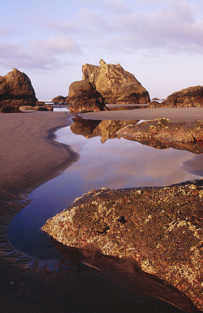 Sea stacks on Bandon Beach at sunrise, Southern Oregon Coast, USA