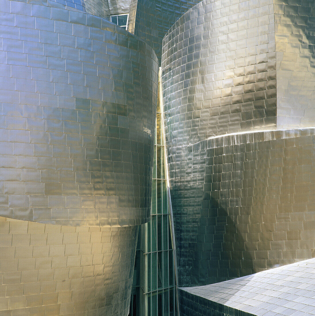 Detail of facade of the Guggenheim Museum, by Frank O. Gehry. Bilbao. Biscay. Spain