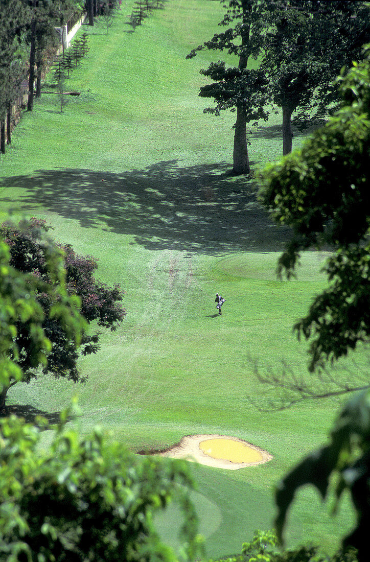 Golf player going home, St Andrew s Golf Club, located in the hills to the north of Port of Spain. Trinidad. West Indies