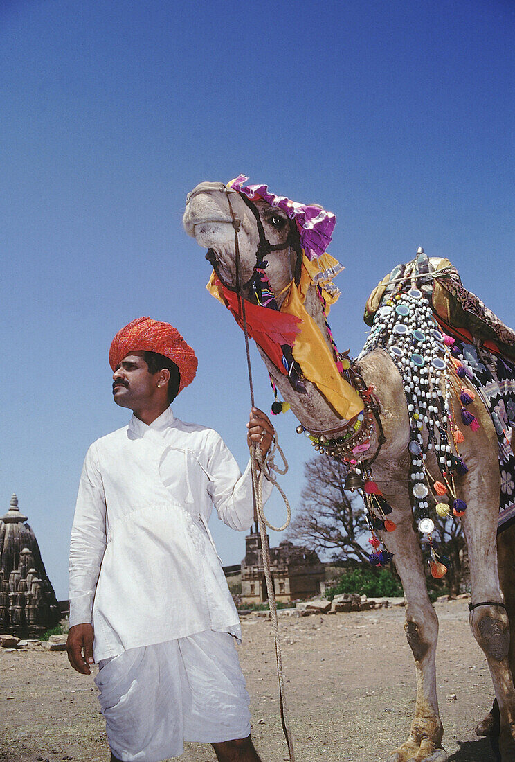 A typical Rajasthani man with his camel. The Rajasthanis not only adorn themselves but also their animals with jewellery. Rajasthan, India