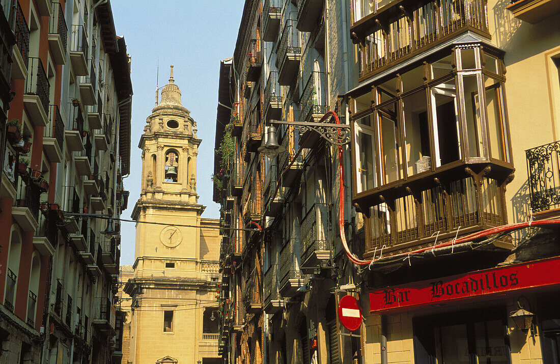 Old town. Santa Maria cathedral. Pamplona. Navarra. Spain.