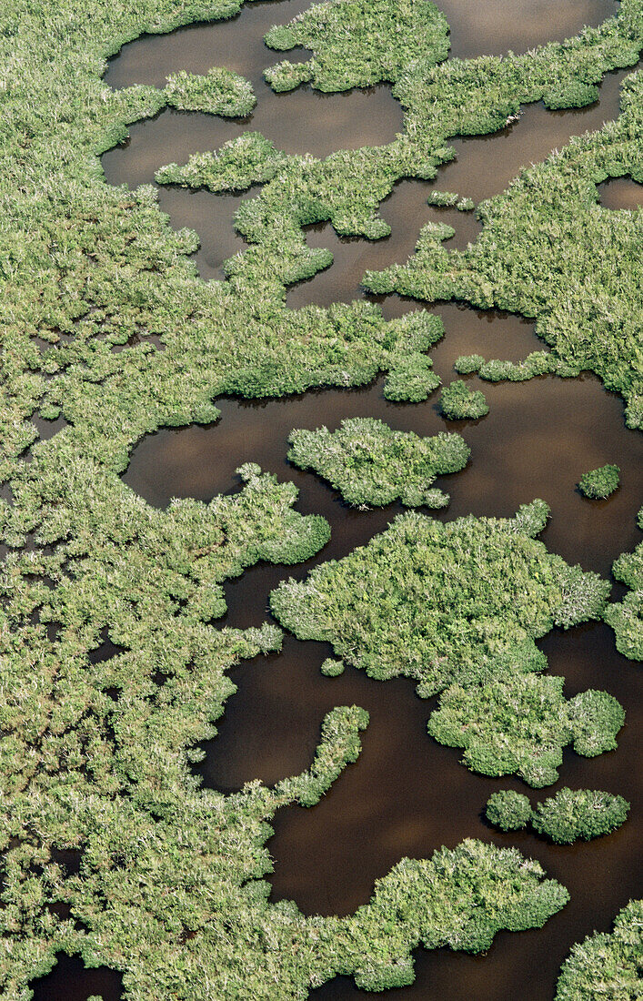 Everglades National Park. Florida, USA
