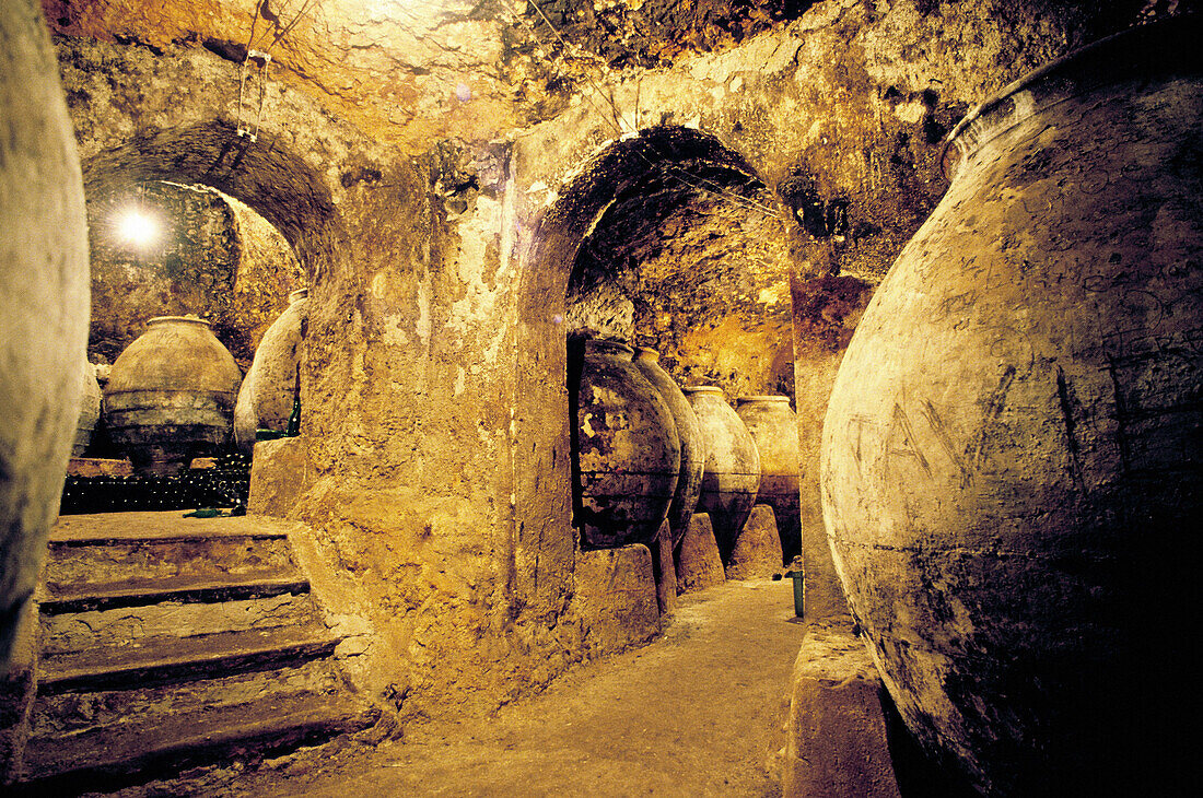 Wine cellar. Colmenar de Oreja, Madrid province. Spain