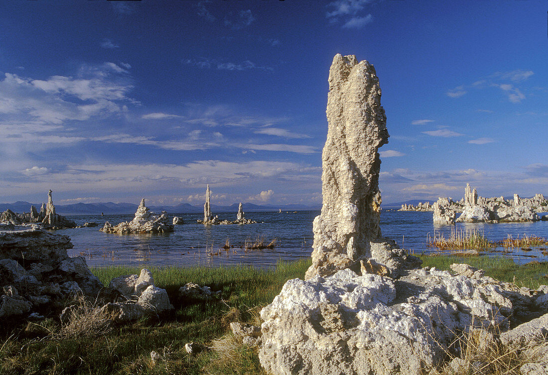 Tufa towers. Mono Lake. Sierra Nat l Forest. California. USA