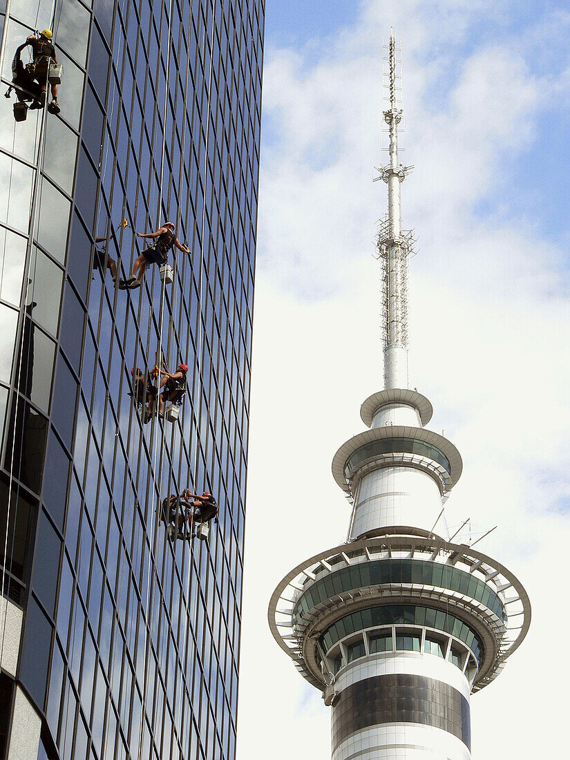 Window Washers. Auckland. New Zealand
