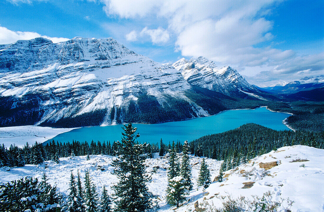 Peyto Lake. Banff National Park. Alberta. Canada