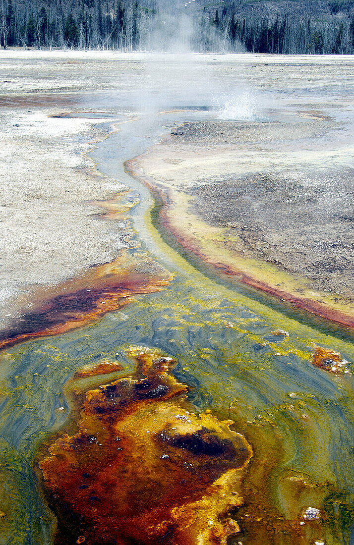 Colorful mineral precipitates in the Black Sand Geyser Basin in Yellowstone National Park. Wyoming, USA