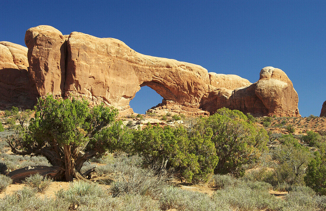 The North window in the Windows Section in Arches National Park near Moab, Utah, USA