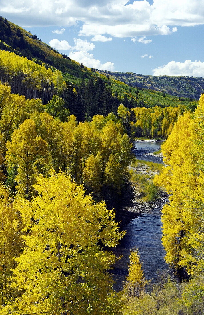 Fall foliage along Colorado 145 and the Dolores River, USA.