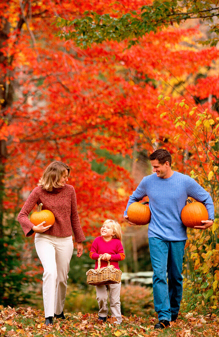 utumn, Autumnal, Basket, Baskets, Carry, Carrying, Caucasian, Caucasians, Child, Children, Color, Colour, Contemporary, Country, Countryside, Dad, Daughter, Daughters, Daytime, Exterior, Facial expres
