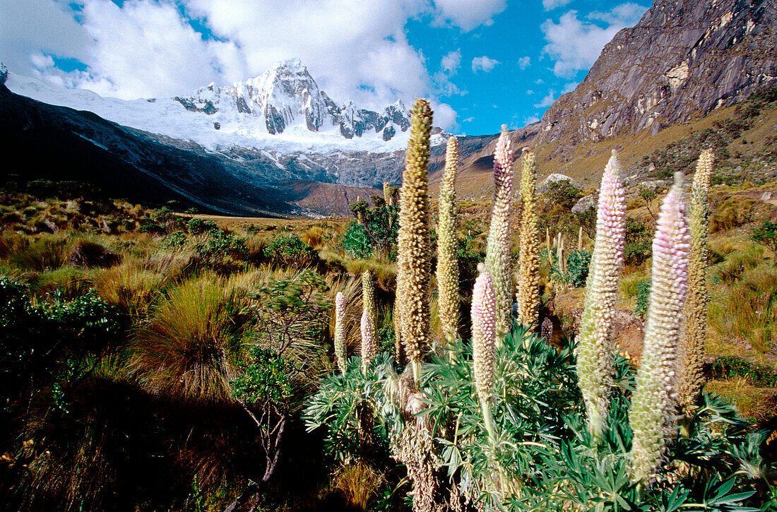 Gipfel Taullipampa in der Quebrada Santa Cruz. Kordillere Blanca. Peru