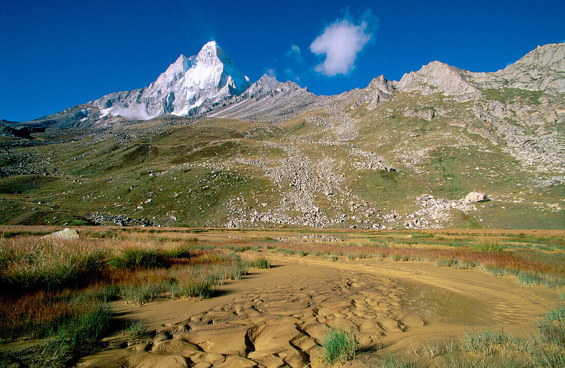 Gipfel Shivling (6453 m) und Wiesen von Tapovan. Garhwal. Uttar Pradesh. Indien