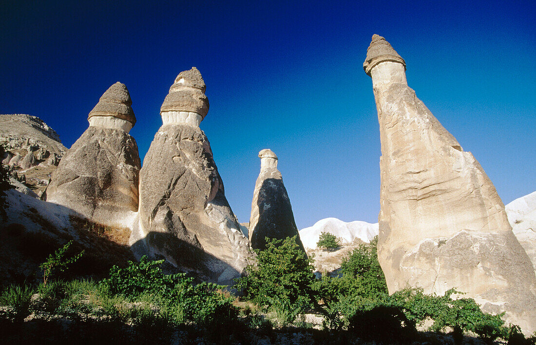 Feenschornsteine in Pasabagi. Zelve. Kapadokien. Türkei