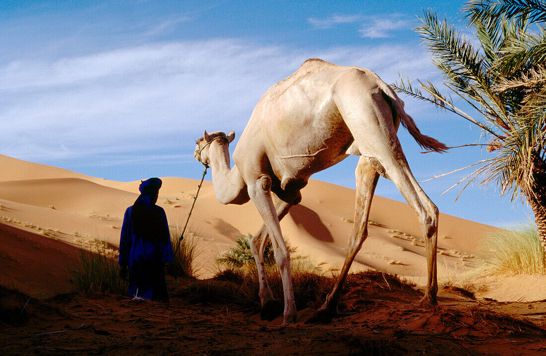 Bereber. Erg Chebbi. Merzouga. Tafilalt. Marrokko