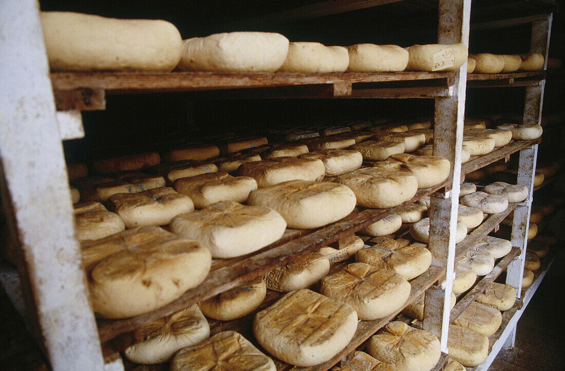 Cheeses. Alaior. Minorca, Balearic Islands. Spain