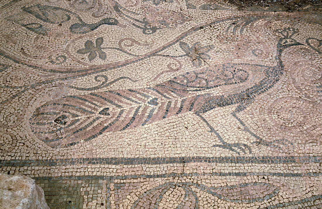 Mosaic at Es Fornàs Early Christian basilica. Torrelló, Maó. Minorca, Balearic Islands. Spain