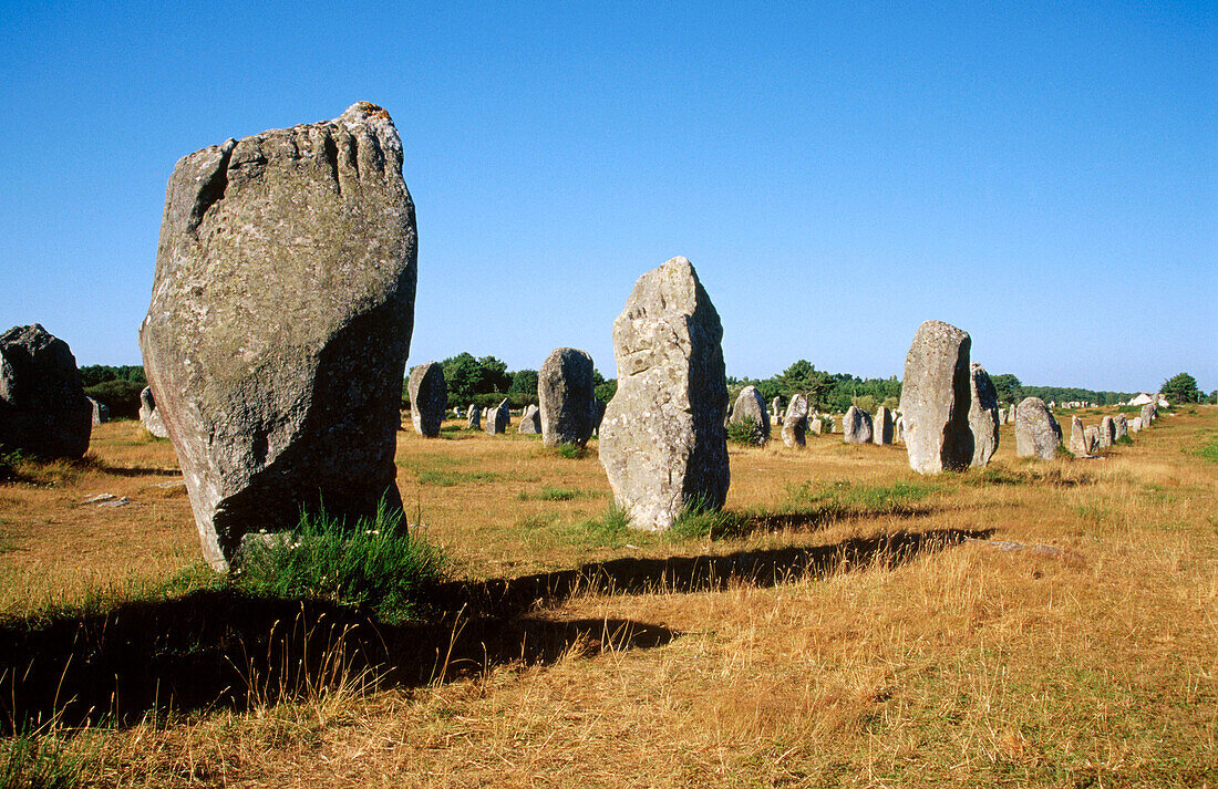 Megalithic stones in Le Menec. Carnac. Bretagne. France