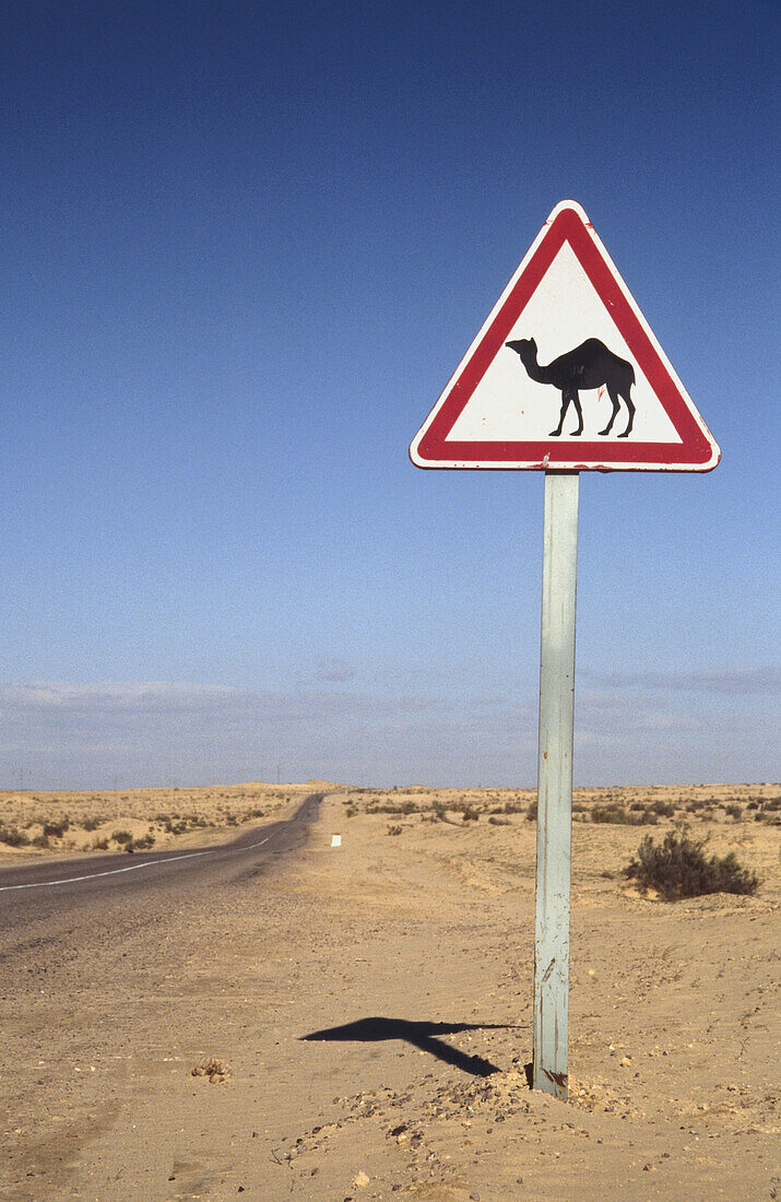 Camel warning sign near Nefta. Sahara Desert. Tunisia