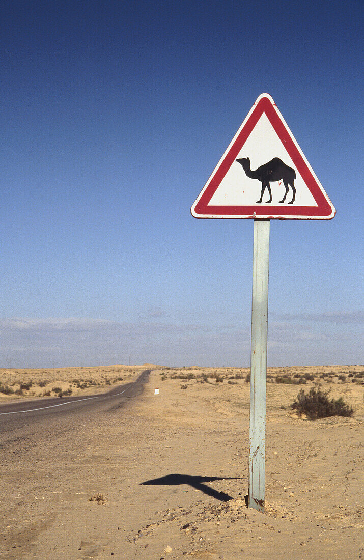 Kamel-Warnschild bei Nefta. Wüste Sahara. Tunesien