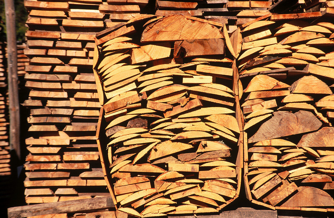 Lumber industry. Isaba. El Baztán. Navarre. Spain.