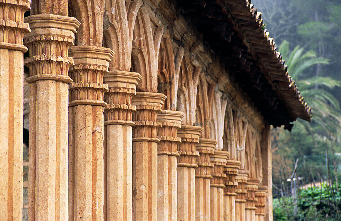 Columns. Miramar monastery, Valldemossa. Mallorca. Baleares. Spain