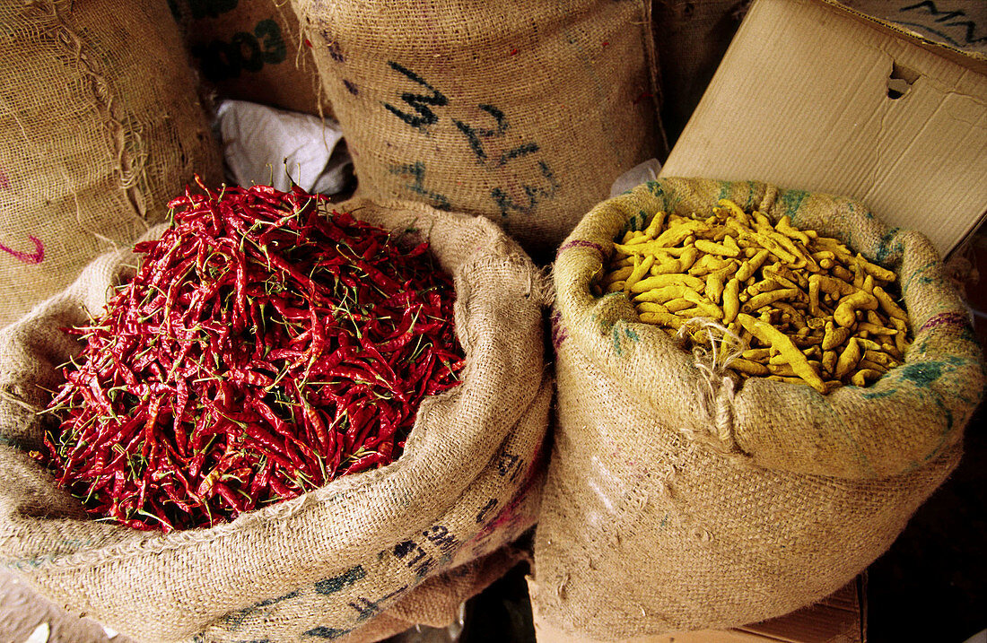 Scharfe Paprika und Kurkuma. Agra. Uttar Pradesh. Indien